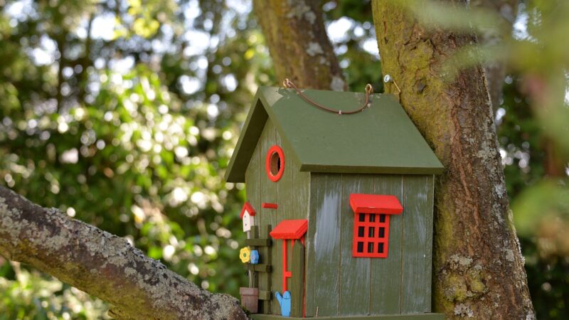 Vogelhäuschen im Garten